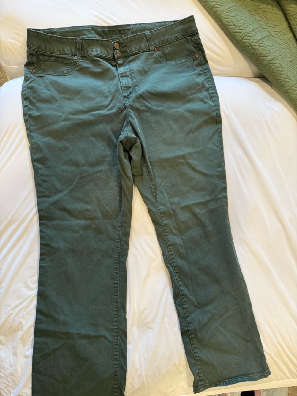 Maurices Olive/Treen Green Chino Pants